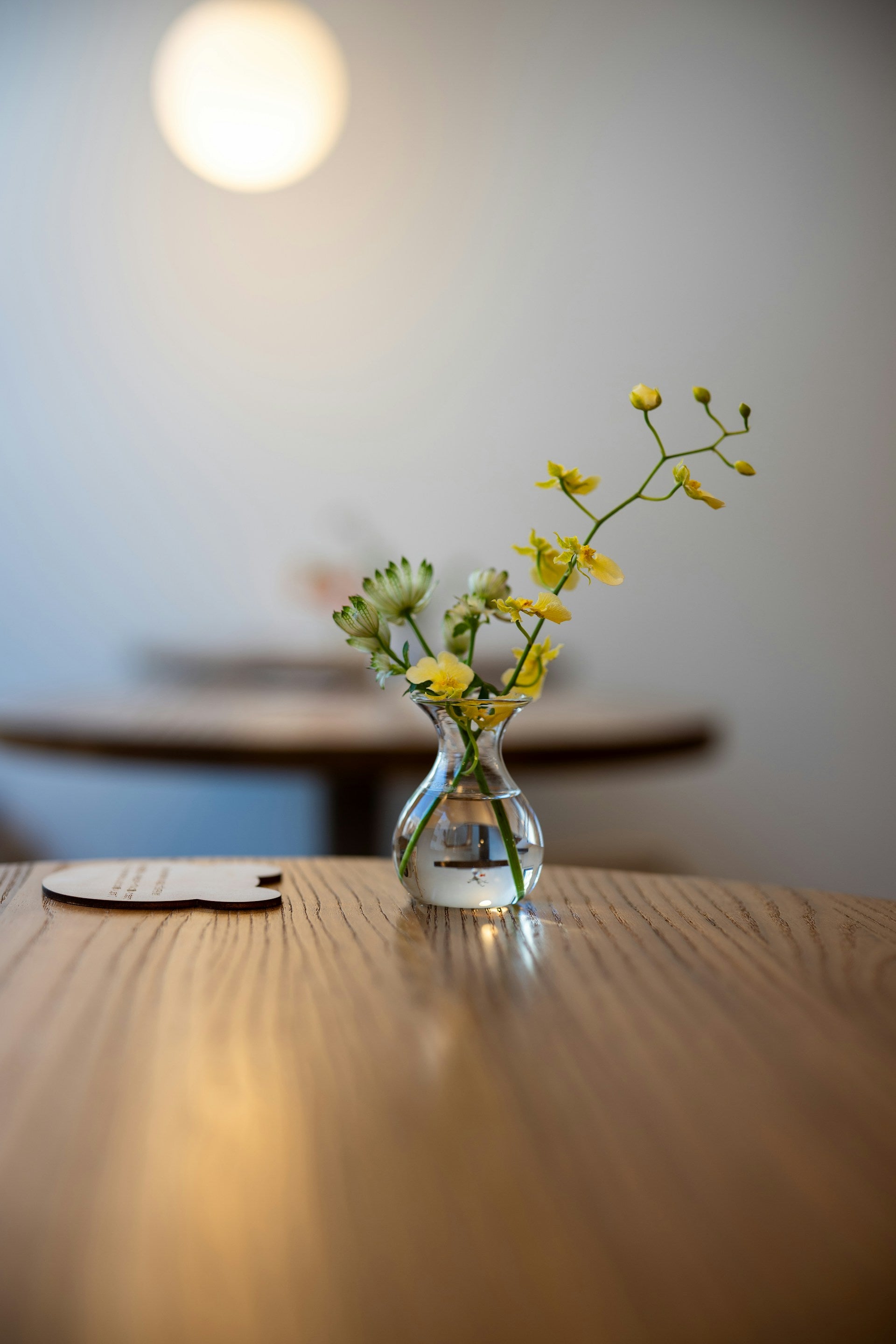 Desk Aesthetic Accents
