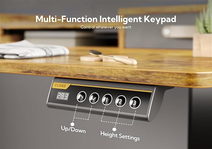 YDN Rustic Brown 2-Tier Adjustable Electric Standing Desk, 59 inch, Modern Design with 2 Drawers, Felt Fence, Hook, for Office