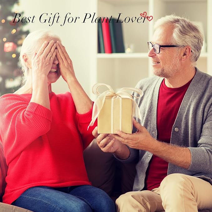 XXXFLOWER Plant Terrarium Wooden Stand, Hydroponic Planter Bulb Glass Metal Swivel Holder Retro Air Plants Water Plants for Home Office Decoration,Gifts for Plant Lover Wife Mom- 2 Love Bulb Vase