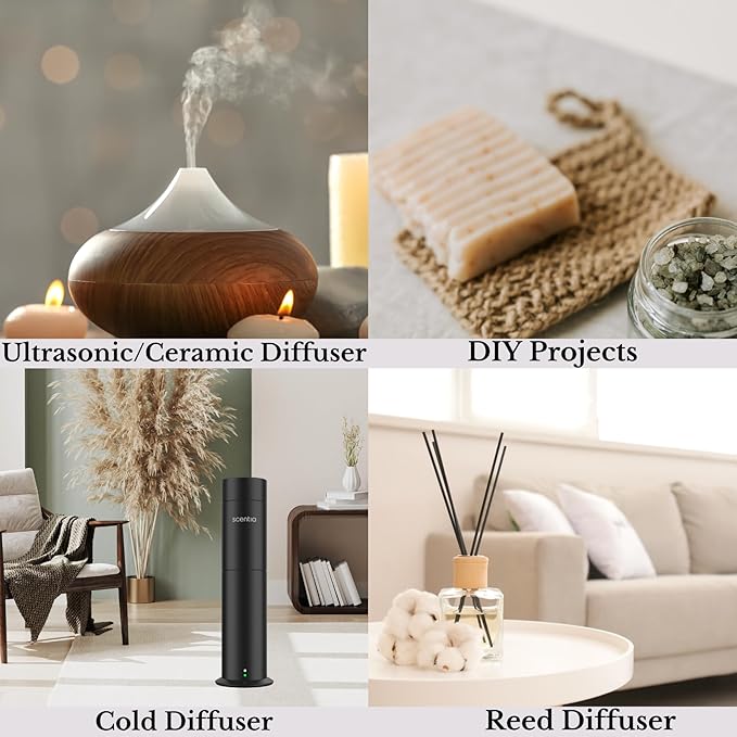 Scentia Hotel Diffuser Oil - 120 ml 4.06 fl oz - Fragrance Oil Blend with White Tea, Natural Home Fragrance and Hotel Scent for Diffusers & Machines -Dream Walk, Thanksgiving Gift