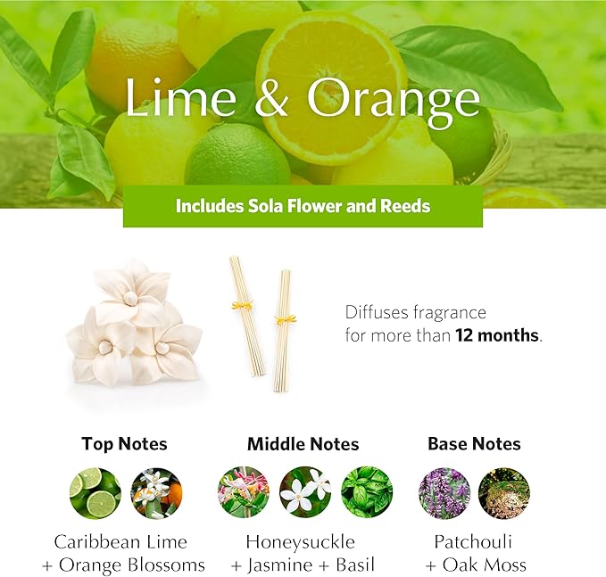 AGRARIA AirEssence Flower and Reed Diffuser Set, Handmade Sola Flower Botanical Home Fragrance Set, Scented Oil Reed Diffuser Gift for All Occasions