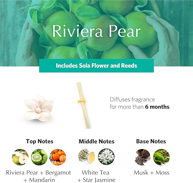 AGRARIA PetiteEssence Botanical Home Fragrance Gift Set, Hand Crafted Sola Flower Scented Oil Reed Diffuser for All Occasions