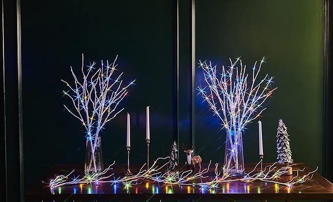 LITBLOOM Lighted Birch Twig Branches Plug in with 8 Function150 Multi Color and Warm White Fairy Lights 30IN for Christmas Holiday Home Decoration Indoor Outdoor