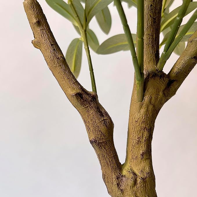 Hairui Lighted Olive Tree with 300 Warm White Fairy Lights 6FT with Dimmer and Timer, Faux Greenery Tree Lights for Indoor Outdoor Home Decoration