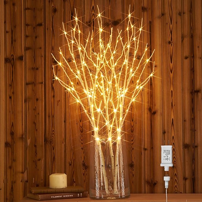 Hairui Lighted Birch Branches Plug in with Timer 30IN 150 LED Fairy Lights, White Willow Branch Lights for Christmas Fireplace Room Vase Decoration Indoor Outdoor Use (Vase Excluded)